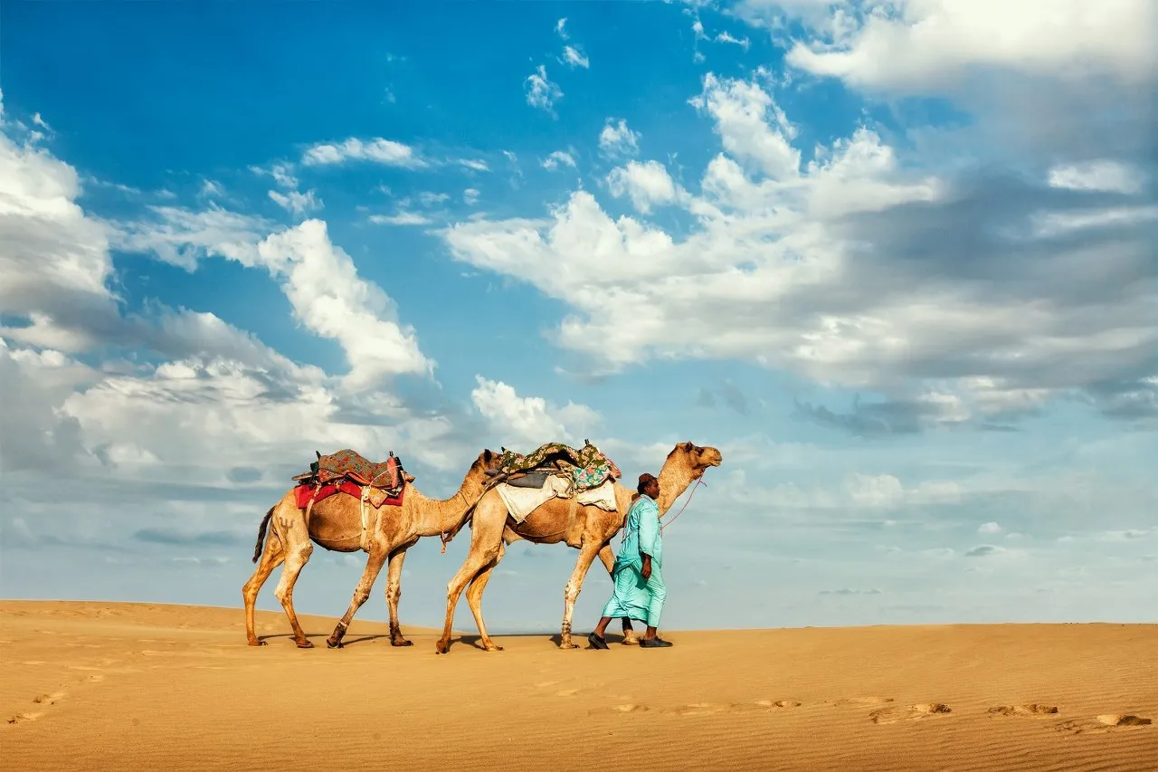 camel safari in jaisalmer